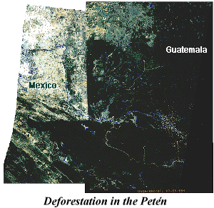 Deforestation in the Peten