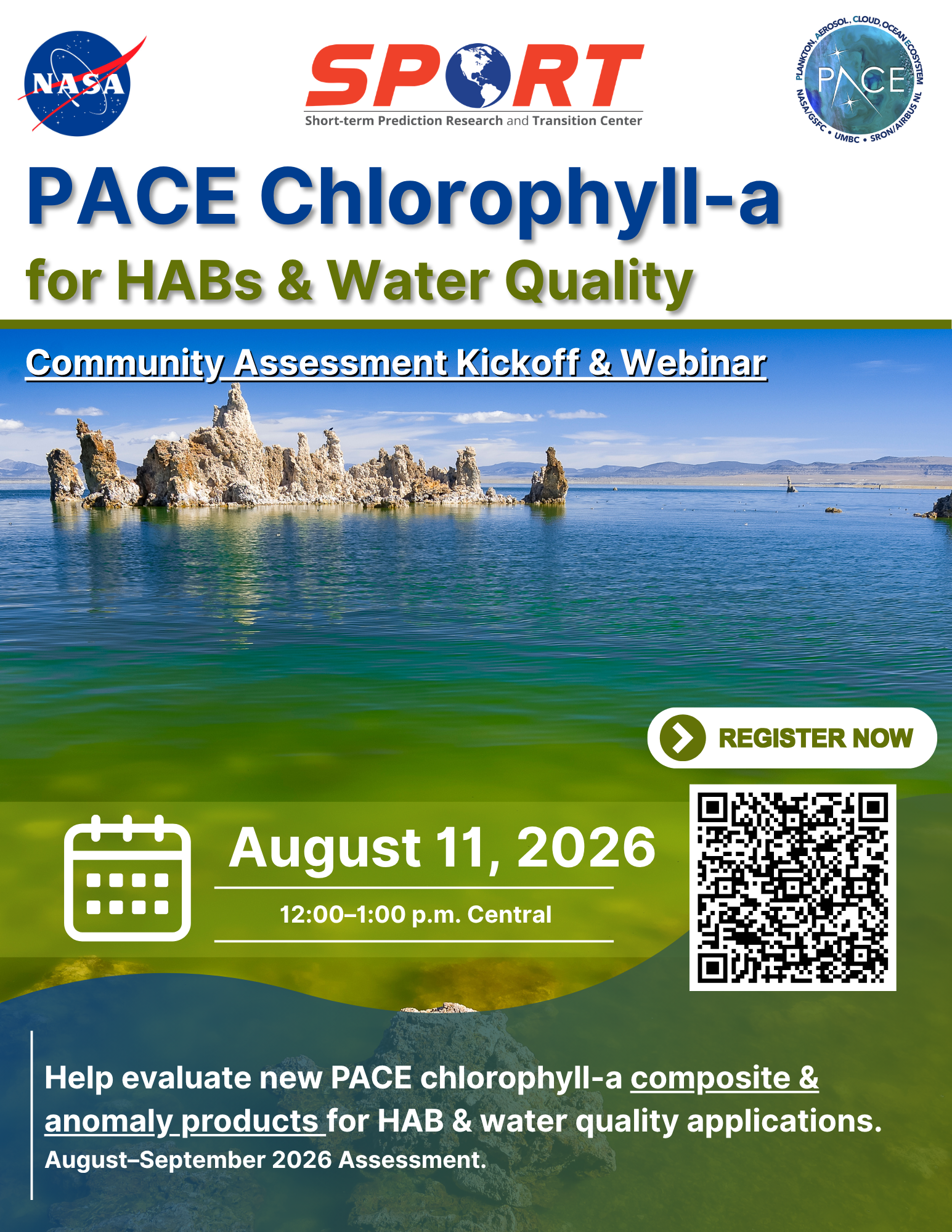 Webinar Flyer